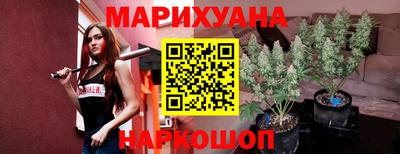 сатива Обнинск