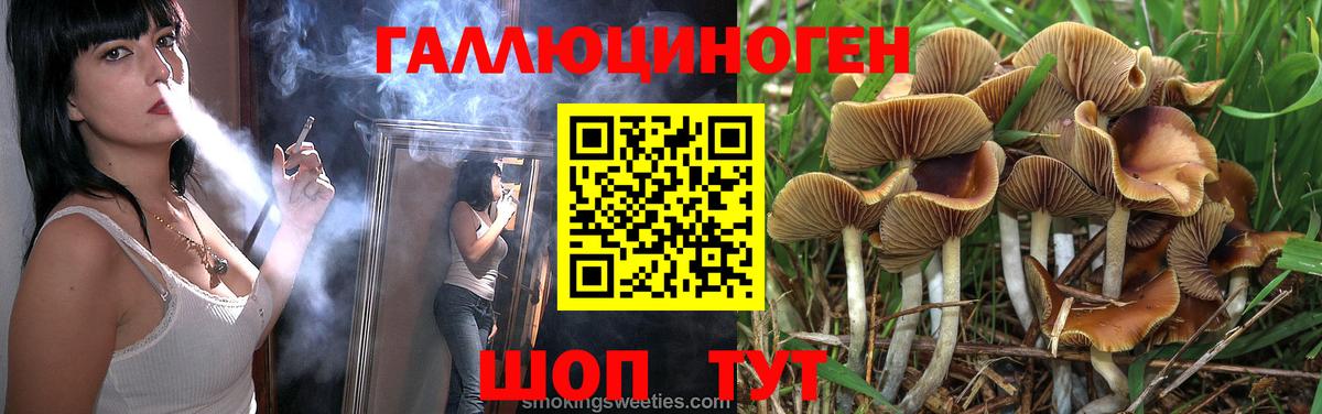 Псилоцибиновые грибы Psilocybine cubensis Ставрополь