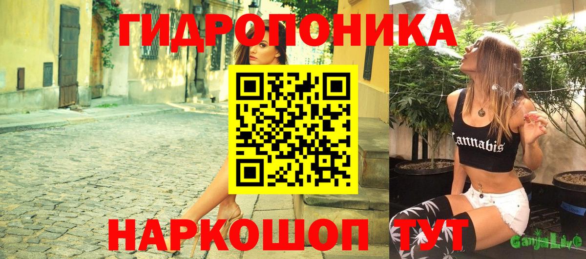 Канабис сатива Ставрополь